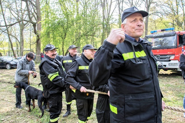 Bawili się na polanie w parku