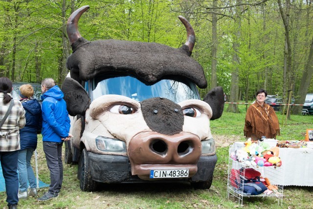 Bawili się na polanie w parku