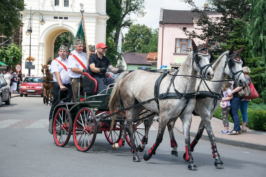 zawody w powożeniu zaprzęgami