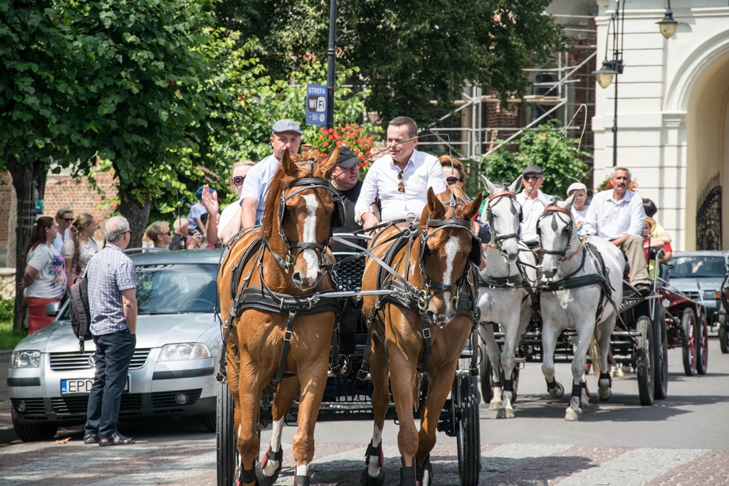 zawody w powożeniu zaprzęgami
