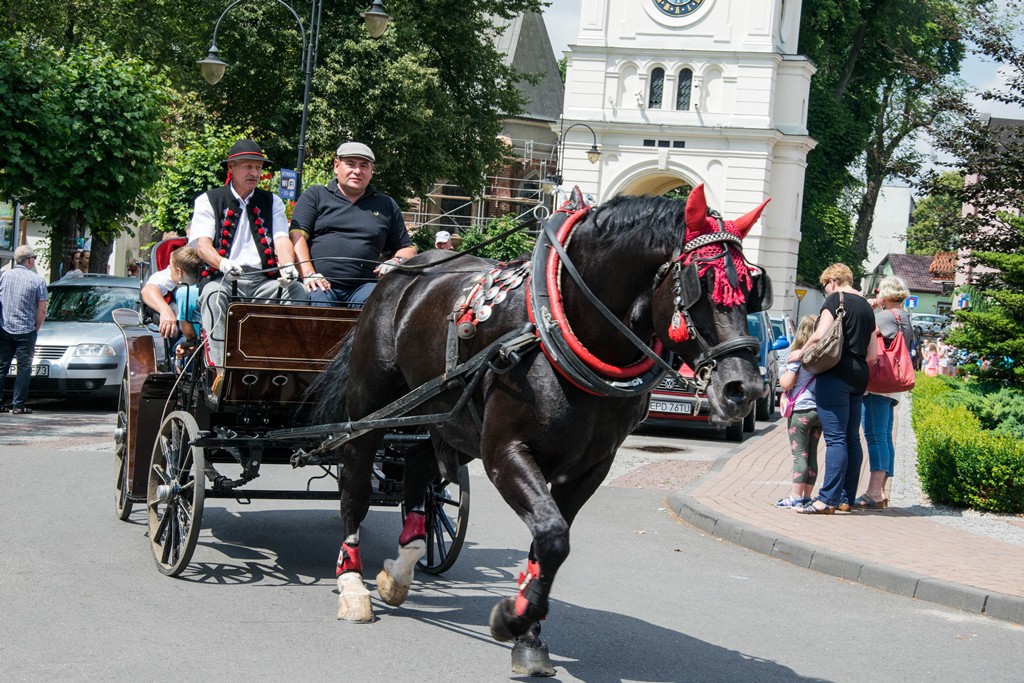 zawody w powożeniu zaprzęgami