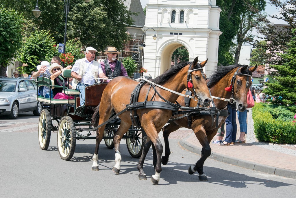 zawody w powożeniu zaprzęgami