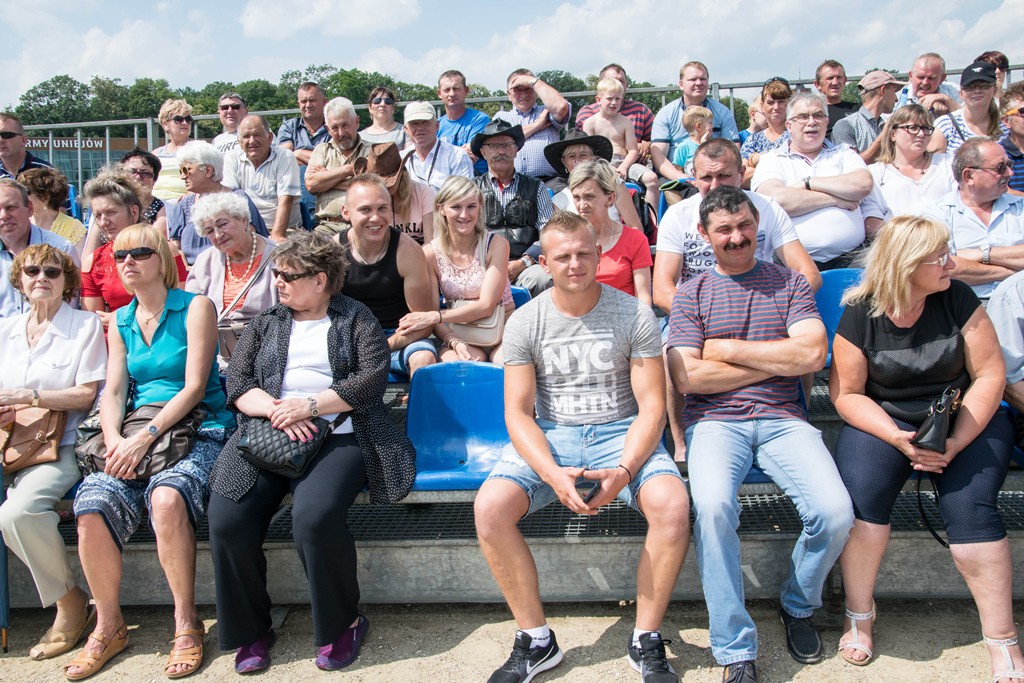 zawody w powożeniu zaprzęgami