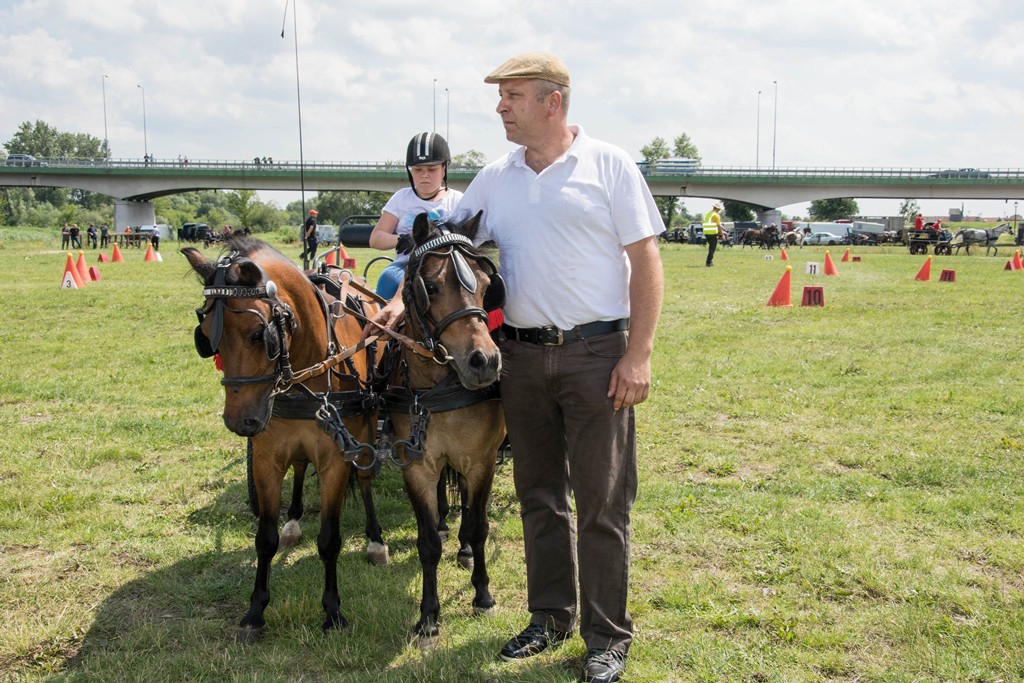 zawody w powożeniu zaprzęgami