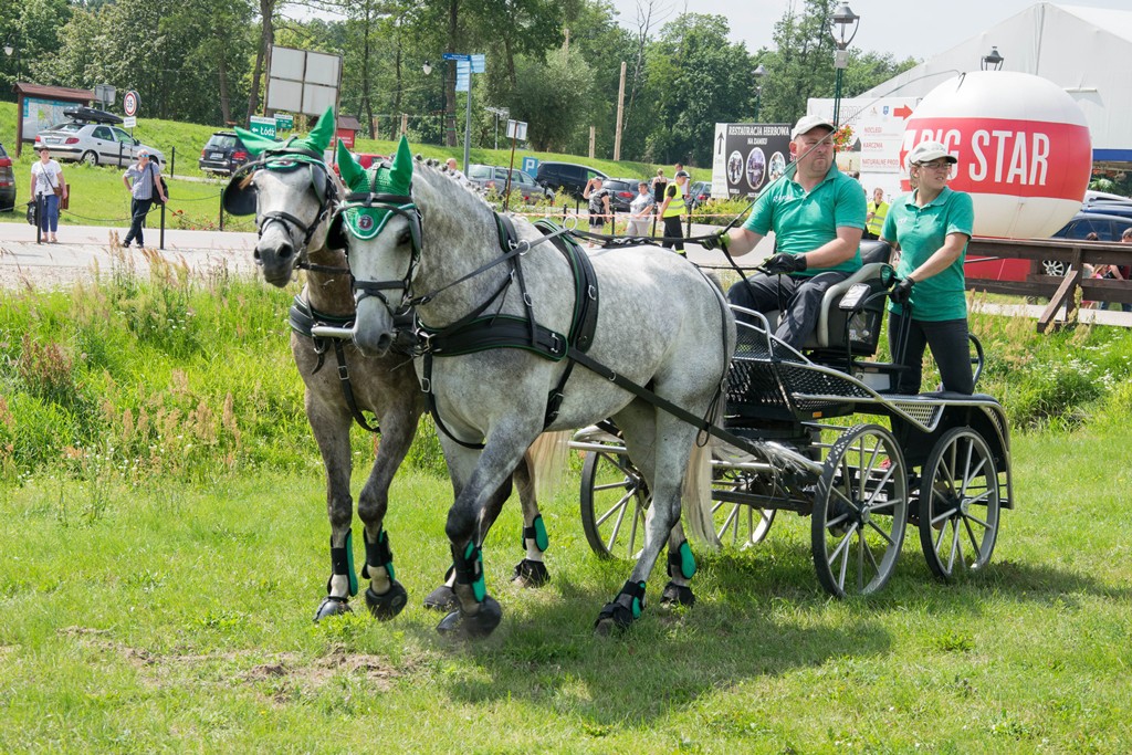 zawody w powożeniu zaprzęgami