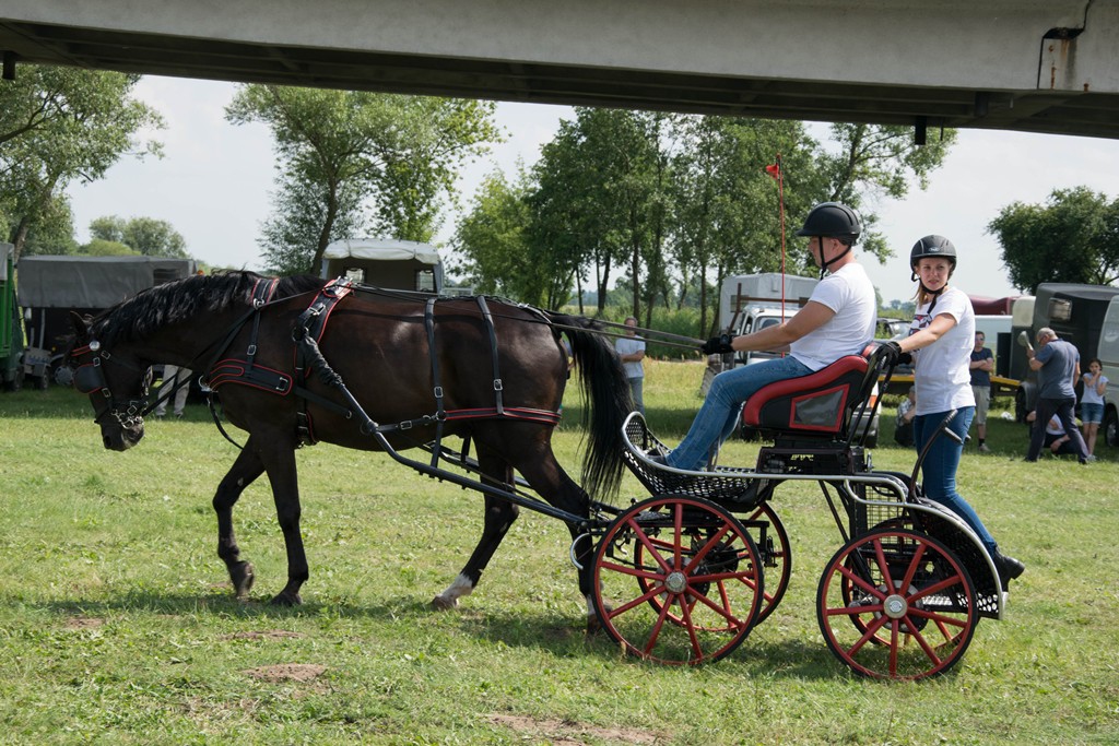 zawody w powożeniu zaprzęgami