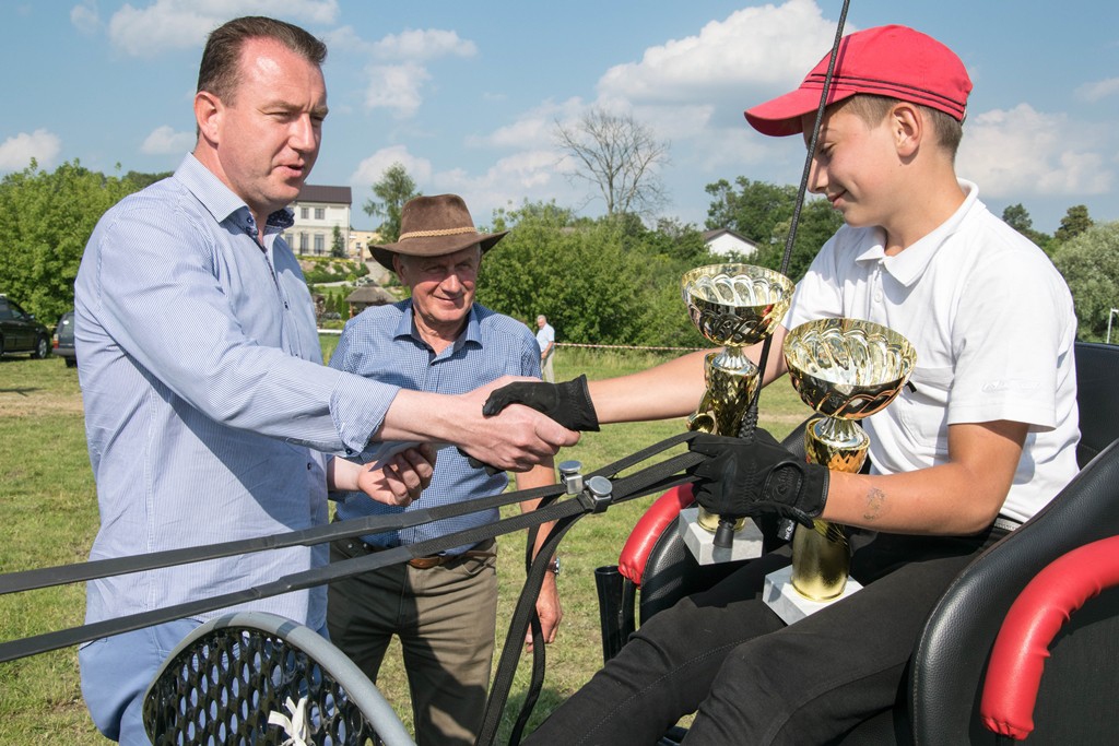 zawody w powożeniu zaprzęgami