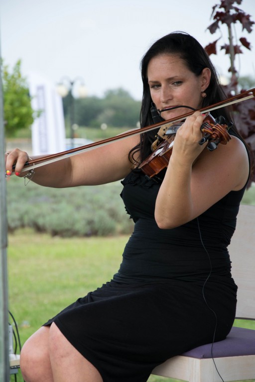  IV Plenerowy Festiwal Lawendy