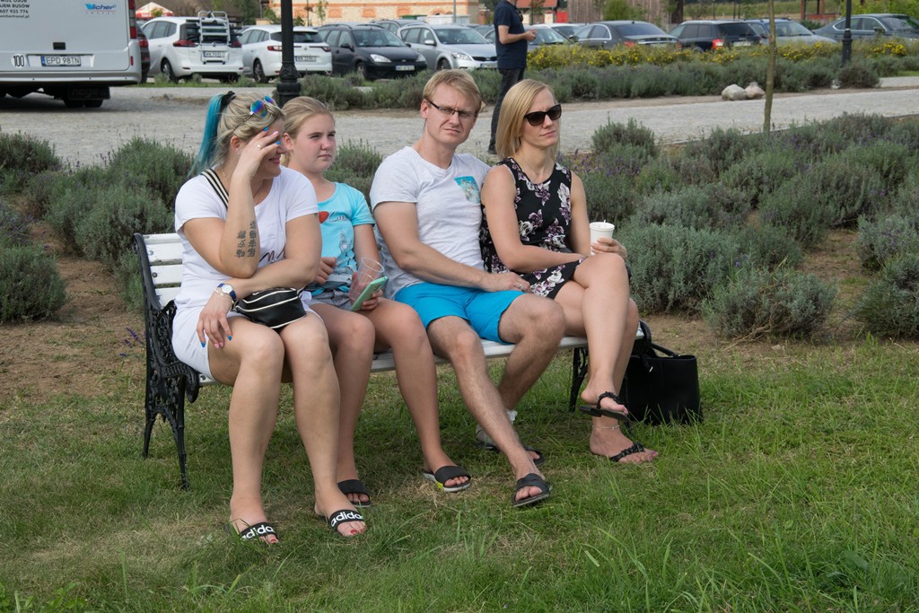  IV Plenerowy Festiwal Lawendy