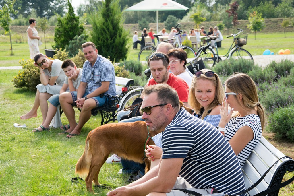  IV Plenerowy Festiwal Lawendy