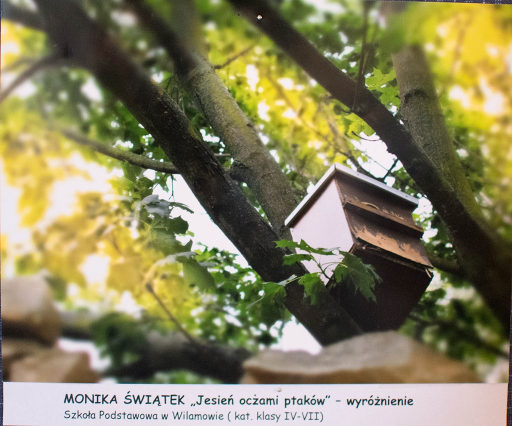 Nagrodzeni w konkursach powiatowych
