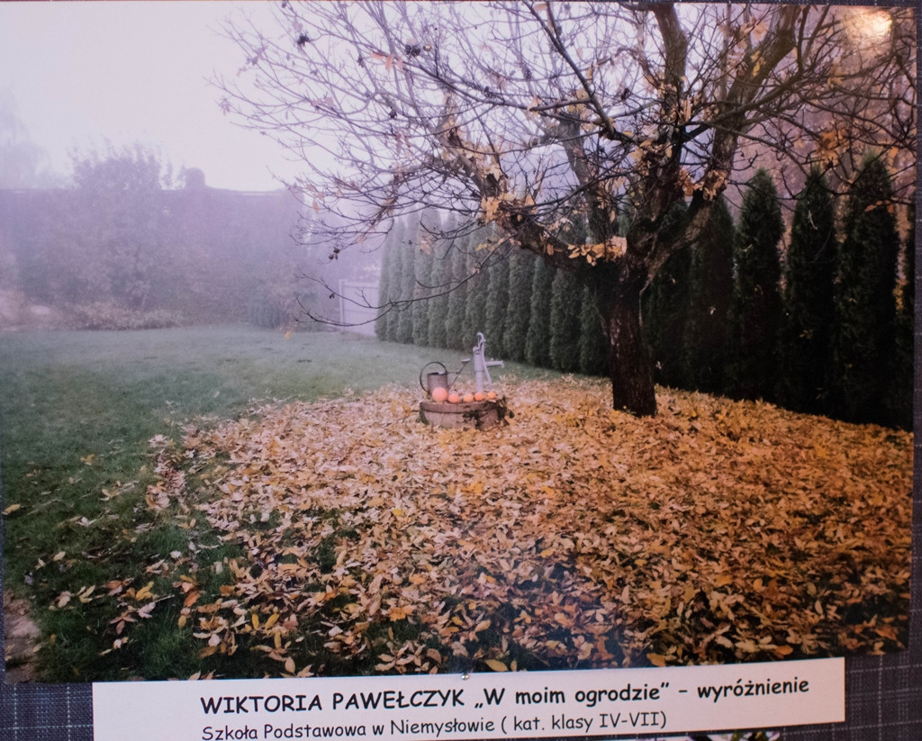 Nagrodzeni w konkursach powiatowych