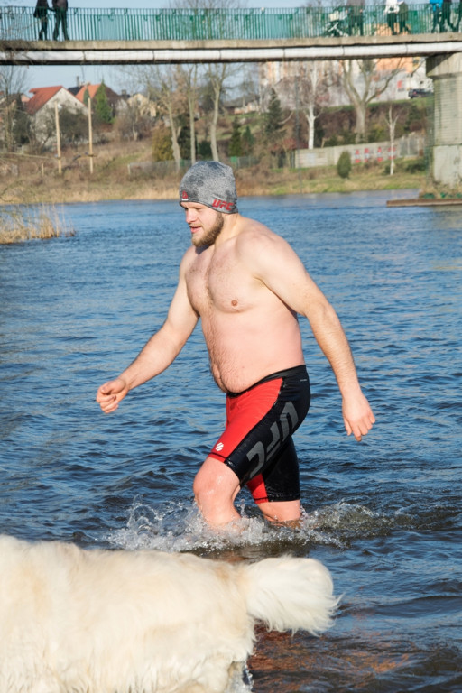 Komando Foki morsują