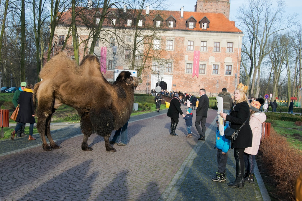 Orszak Trzech Króli 2018