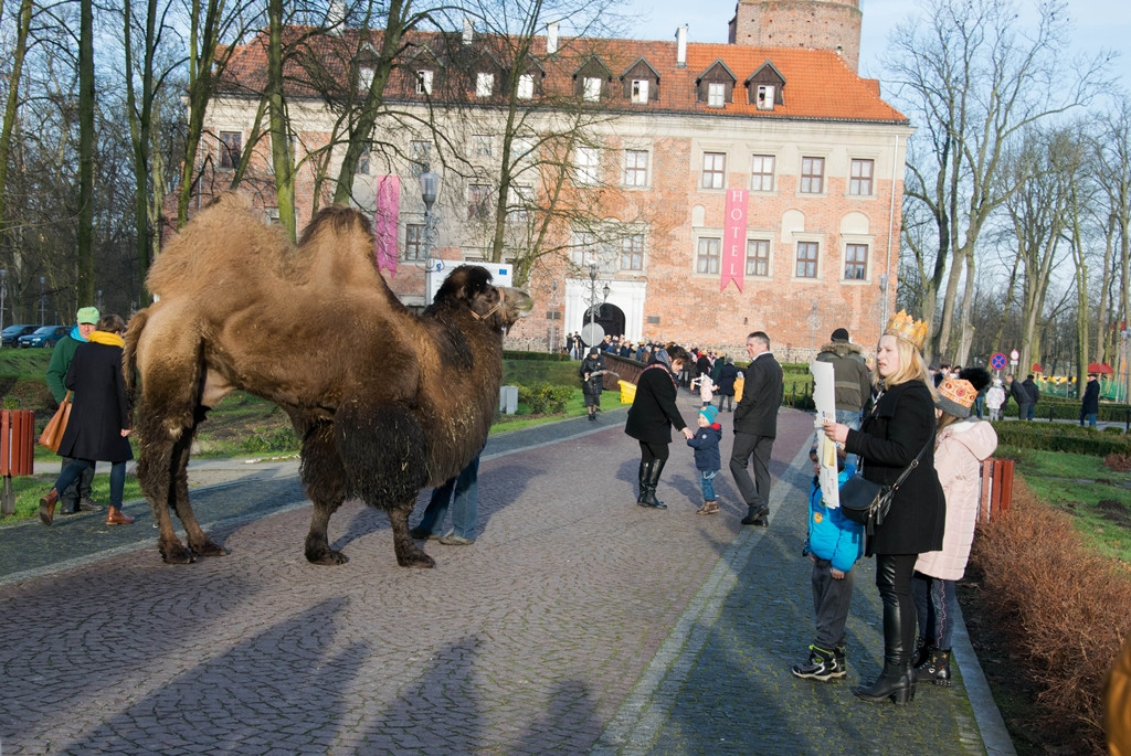 Orszak Trzech Króli 2018