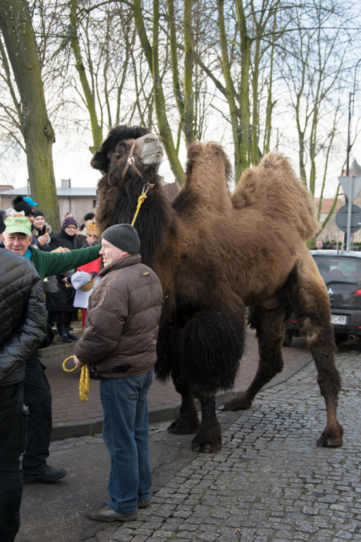 Orszak Trzech Króli 2018