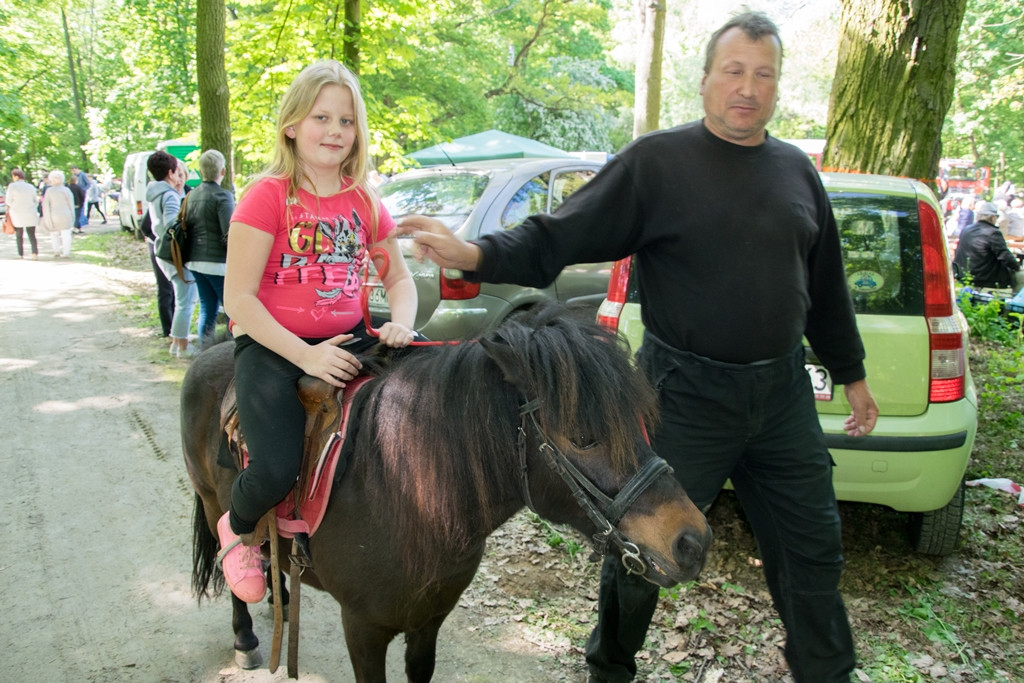 Majówka na polanie 2018