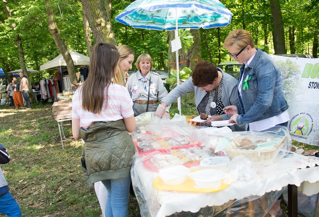 Majówka na polanie 2018