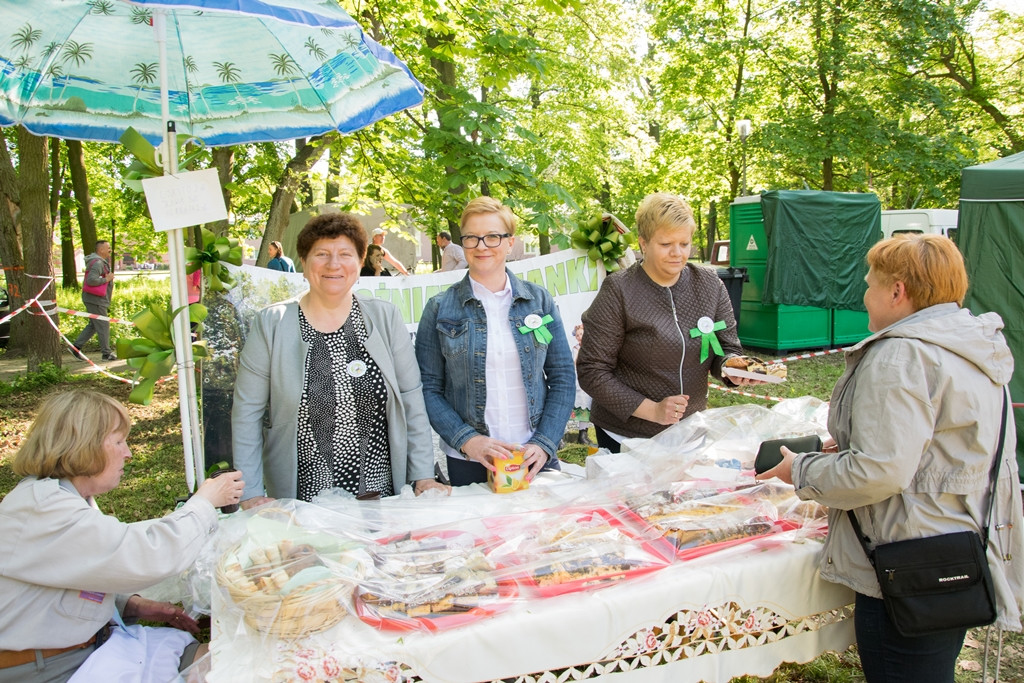 Majówka na polanie 2018