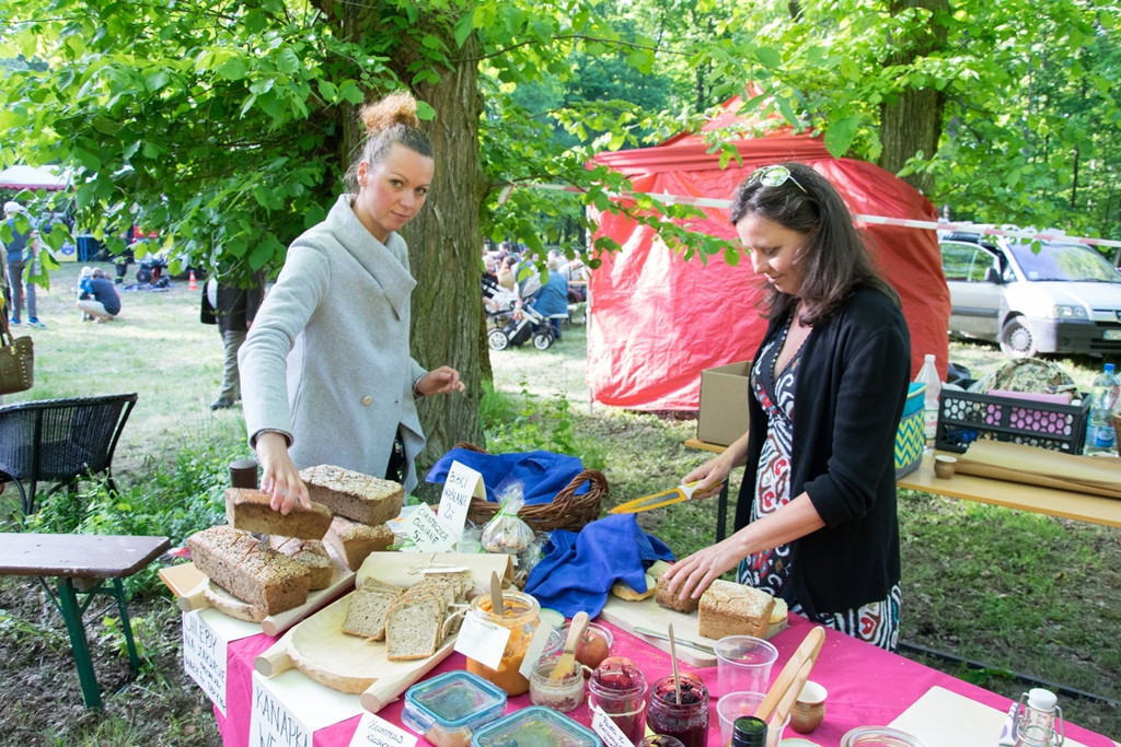 Majówka na polanie 2018