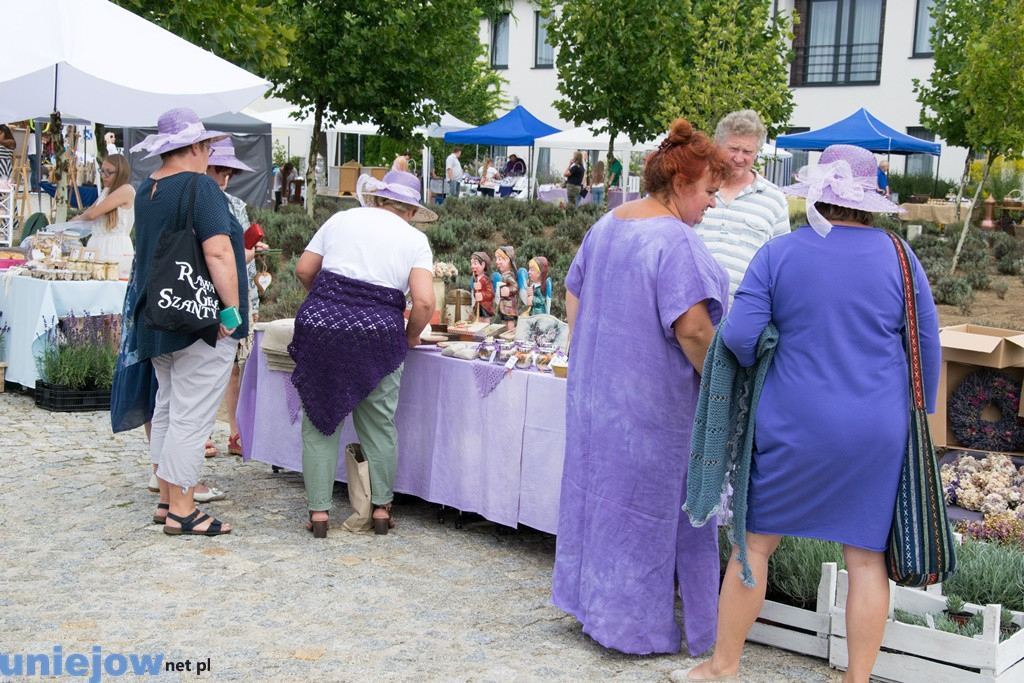 V Festiwal Lawendy