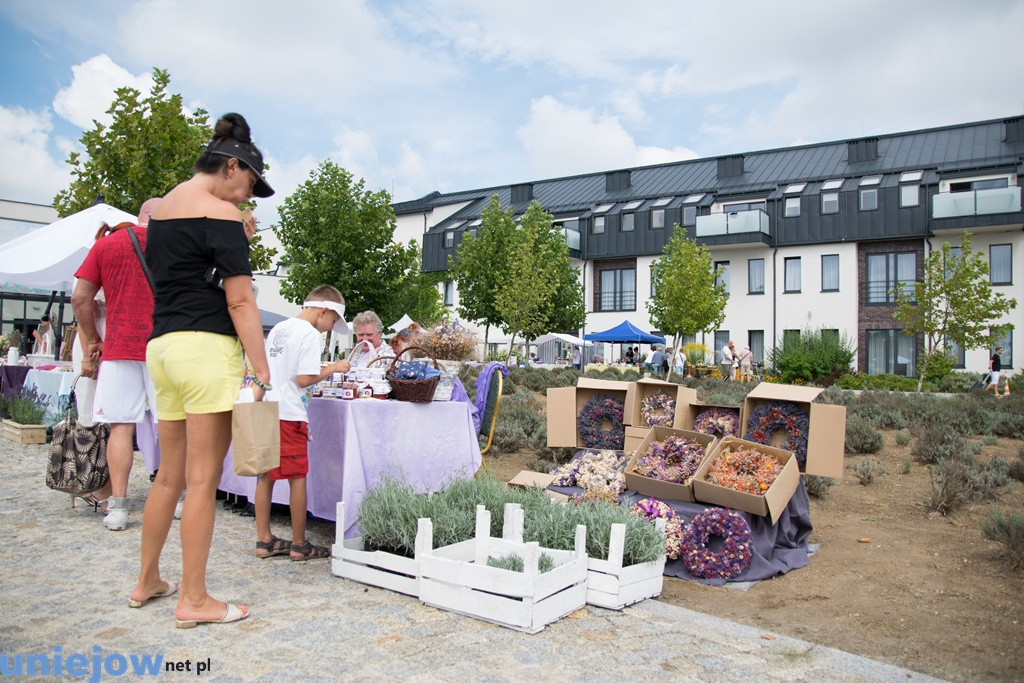 V Festiwal Lawendy
