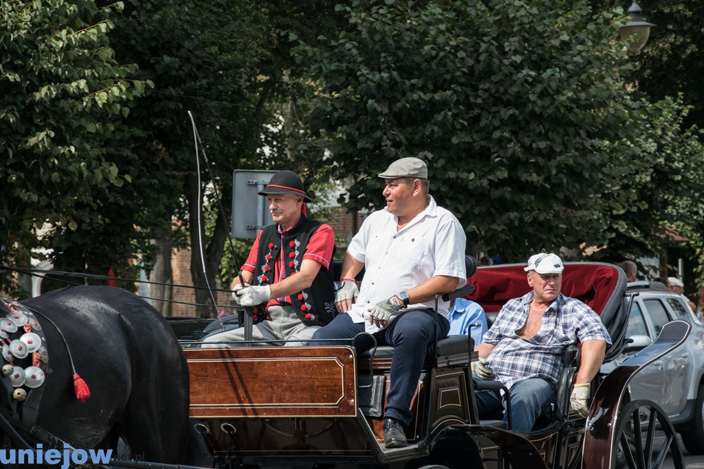 V zawody w powożeniu