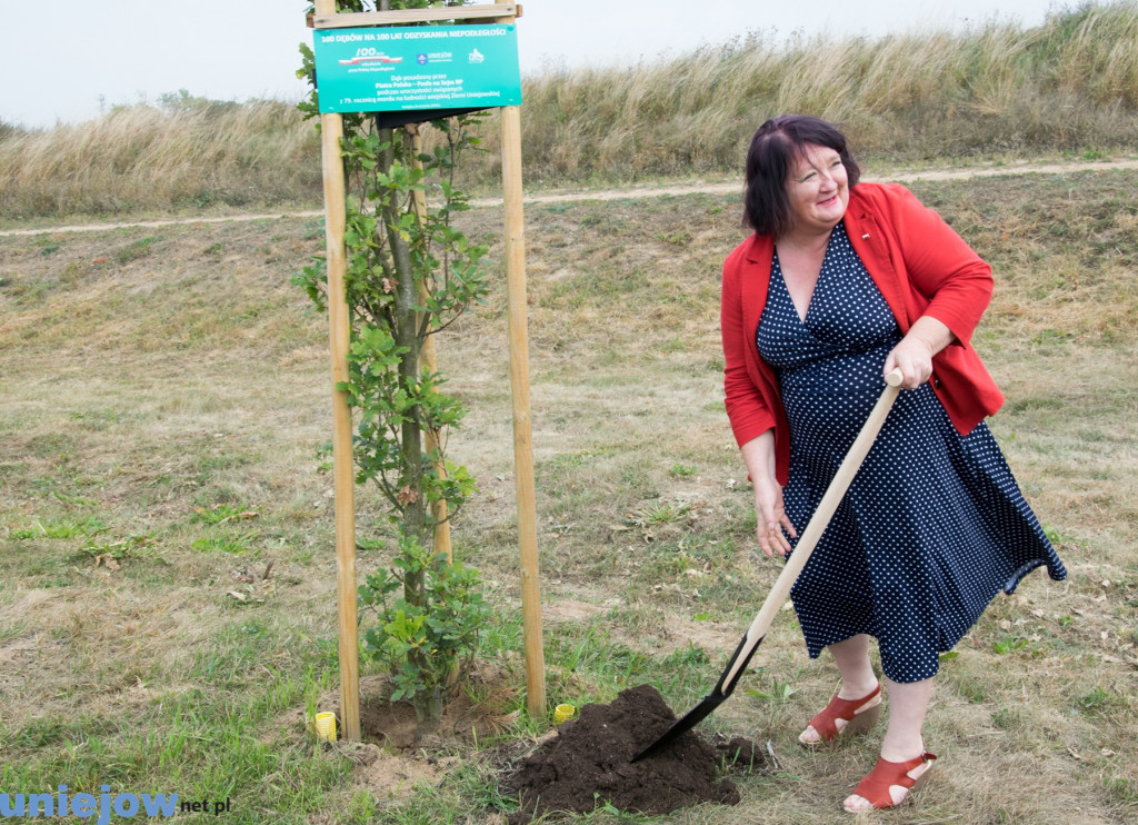 Wkopano kolejne dęby na stulecie...