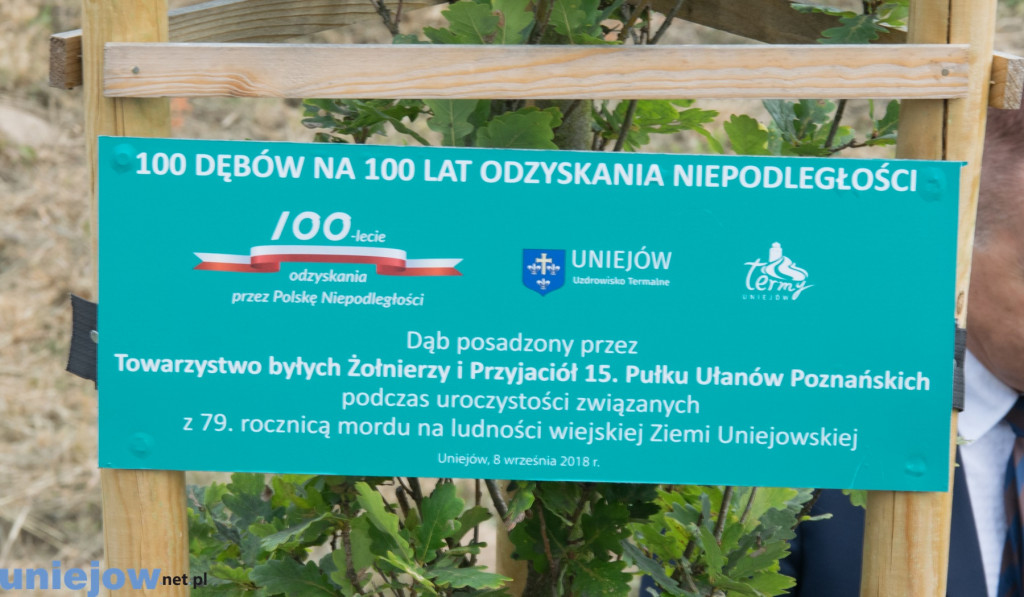 Wkopano kolejne dęby na stulecie...