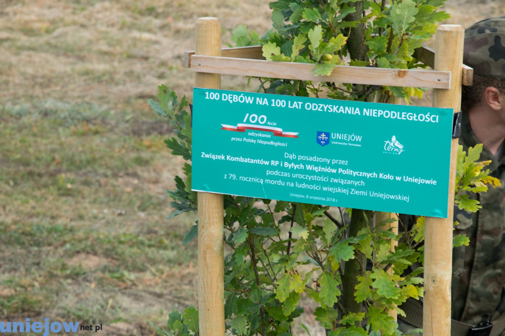 Wkopano kolejne dęby na stulecie...