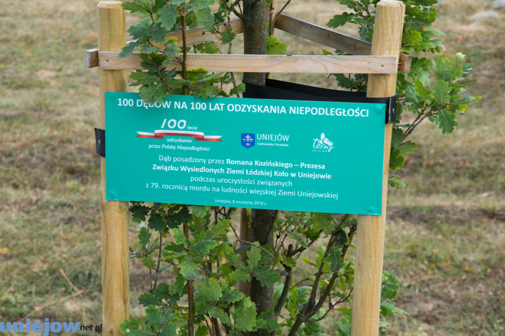 Wkopano kolejne dęby na stulecie...