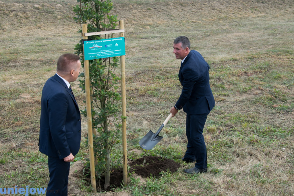 Wkopano kolejne dęby na stulecie...