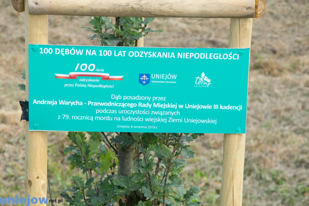 Wkopano kolejne dęby na stulecie...