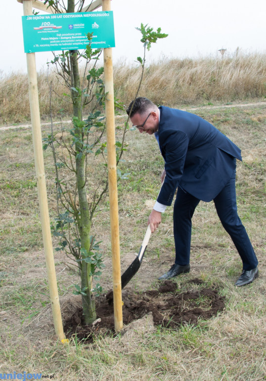 Wkopano kolejne dęby na stulecie...