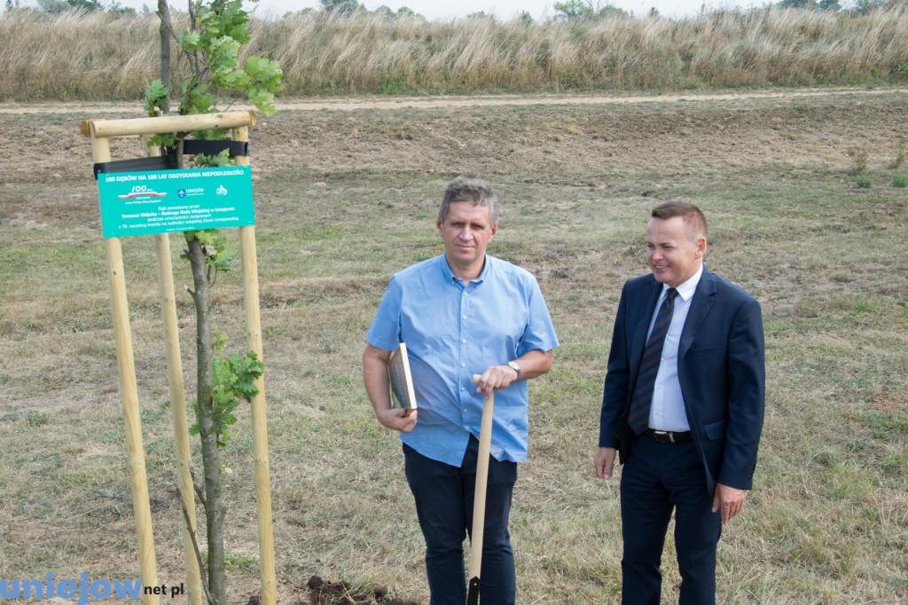 Wkopano kolejne dęby na stulecie...