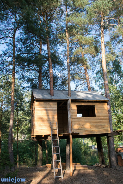 Domek na drzewie w Lekaszynie
