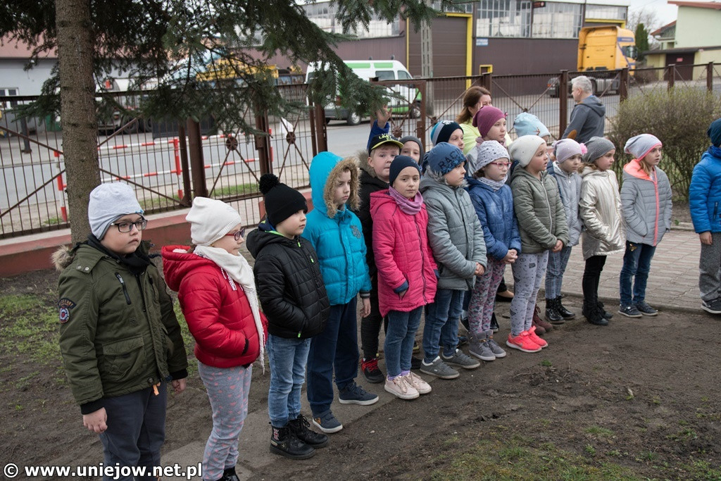 100 drzewek dla szkół w województwie