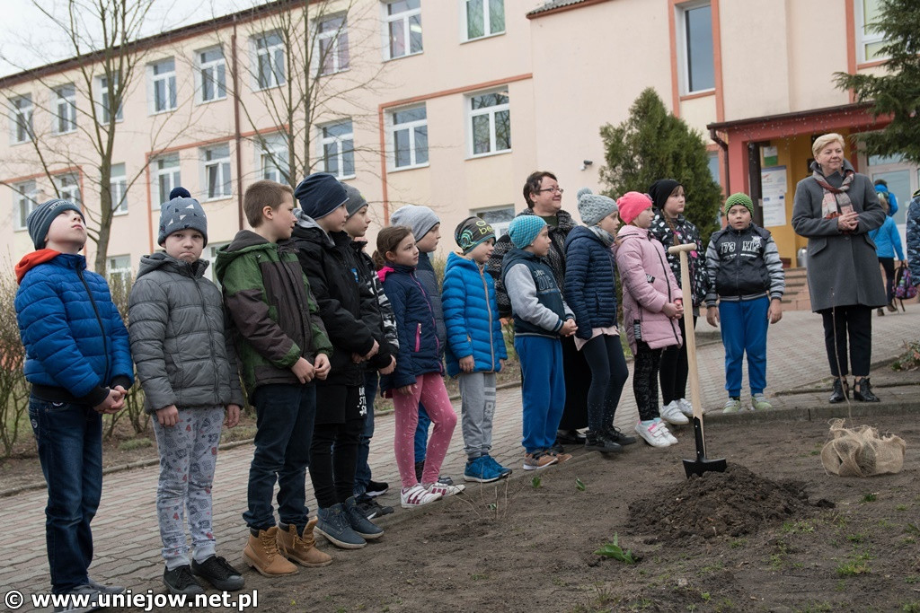 100 drzewek dla szkół w województwie