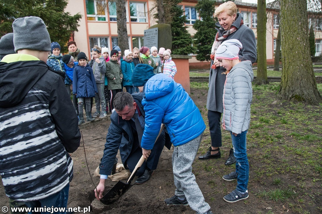 100 drzewek dla szkół w województwie