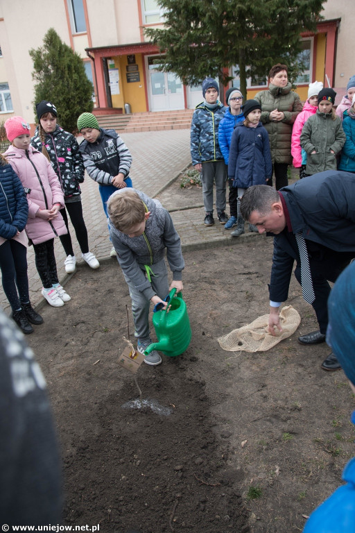 100 drzewek dla szkół w województwie
