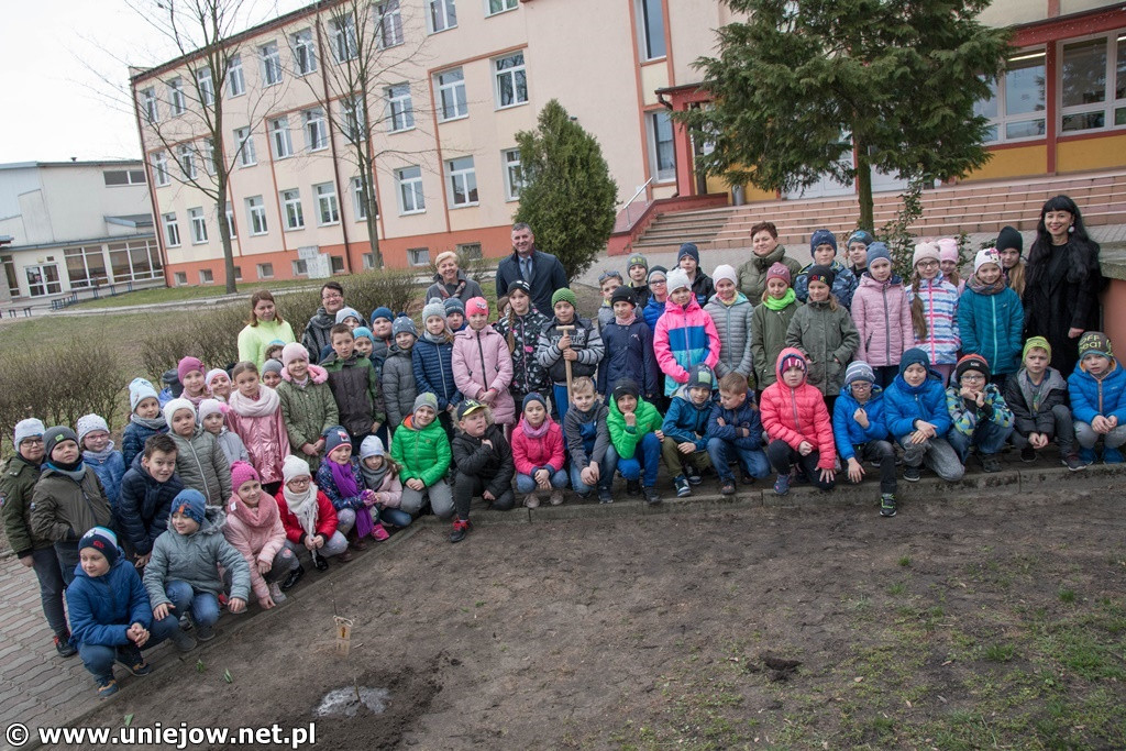 100 drzewek dla szkół w województwie