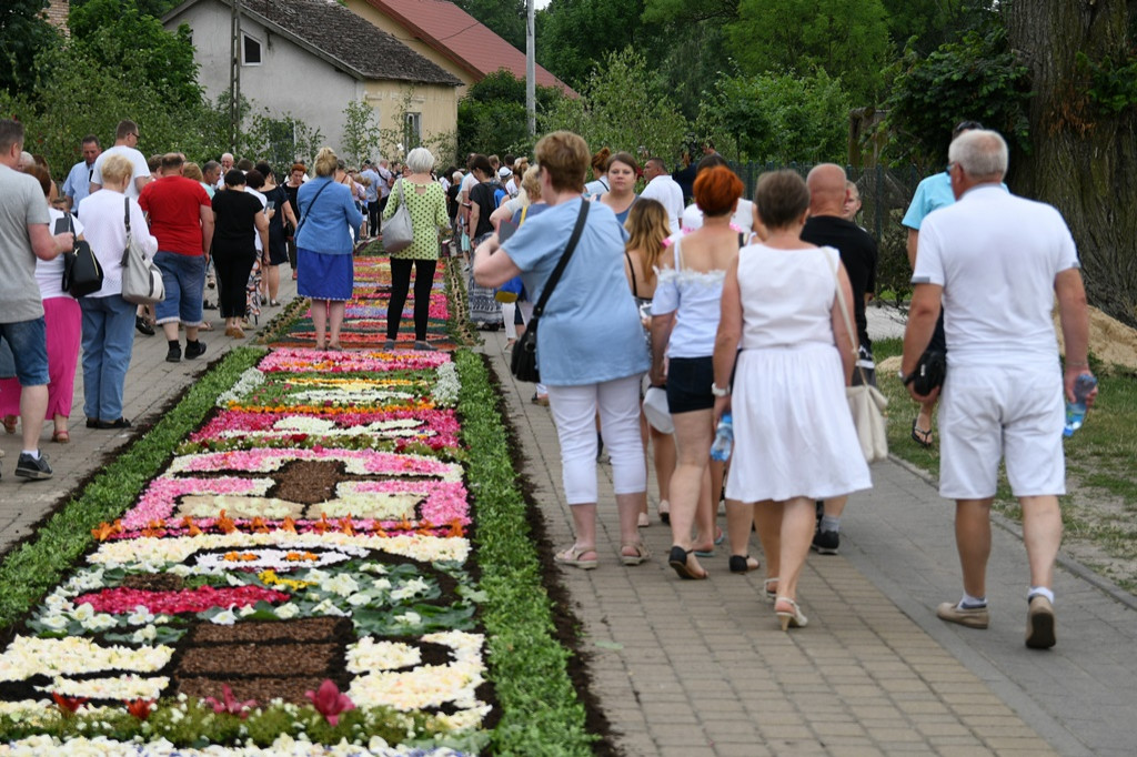 Dywany w Spycimierzu -Boże Ciało 2019