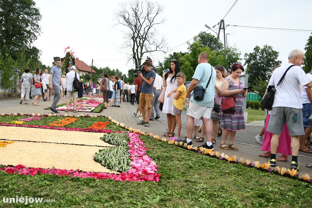 Dywany w Spycimierzu -Boże Ciało 2019