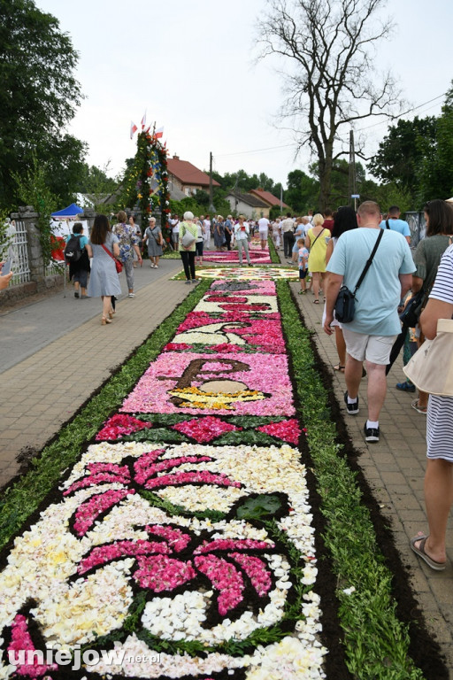 Dywany w Spycimierzu -Boże Ciało 2019