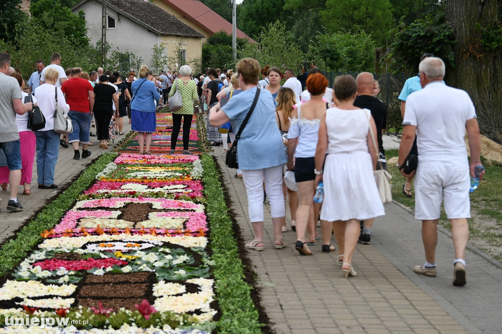 Dywany w Spycimierzu -Boże Ciało 2019