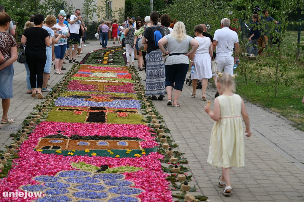 Dywany w Spycimierzu -Boże Ciało 2019