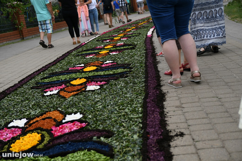 Dywany w Spycimierzu -Boże Ciało 2019
