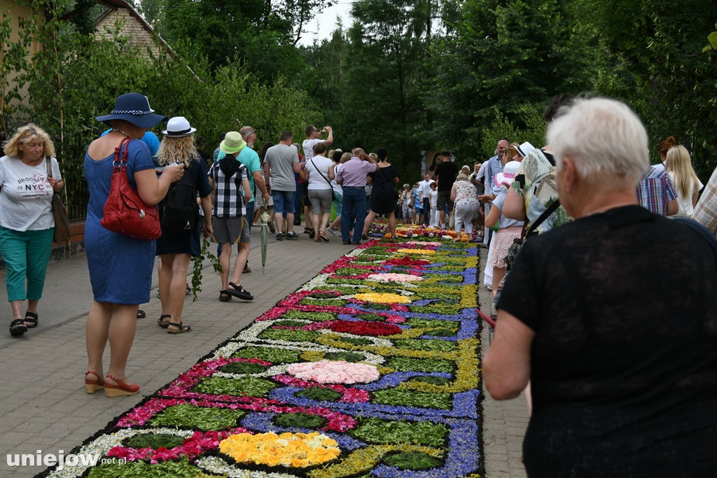 Dywany w Spycimierzu -Boże Ciało 2019