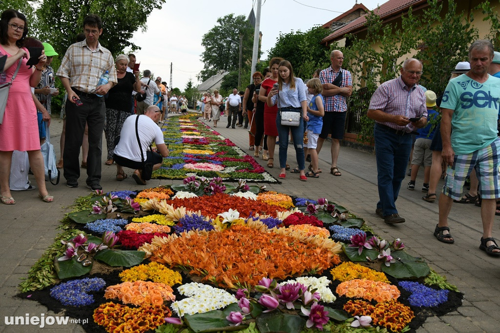 Dywany w Spycimierzu -Boże Ciało 2019