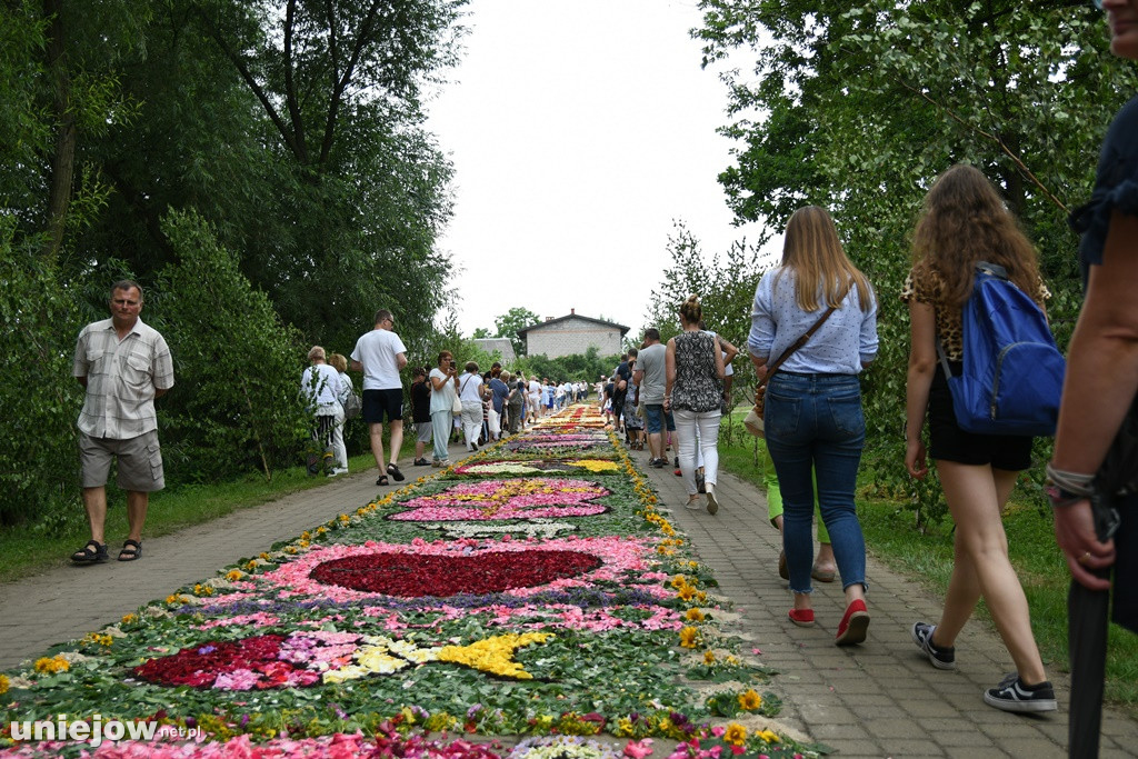 Dywany w Spycimierzu -Boże Ciało 2019